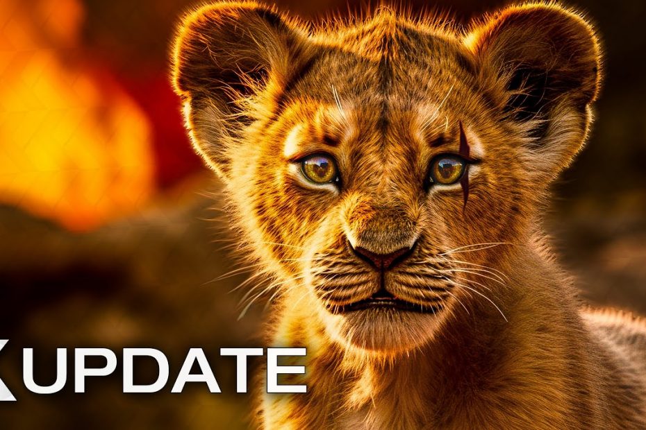 Mufasa: The Lion King (2024) Movie Preview