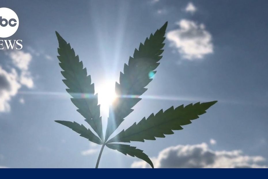 Biden administration plans to reclassify marijuana, sources say