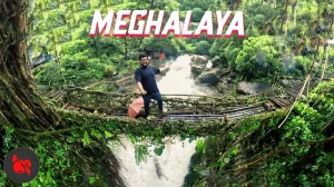 MEGHALAYA TRAVEL VLOG (wettest place on Earth) | Living Root Bridge, Cherrapunji, Mawlynnong