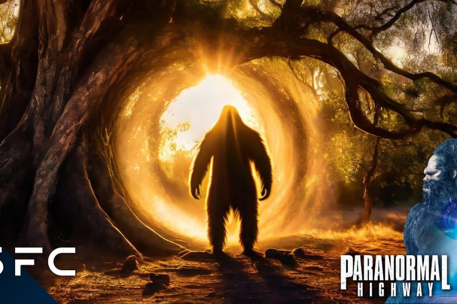 Bigfoot's Portal Found In A Tree! | Paranormal Highway | S1E01