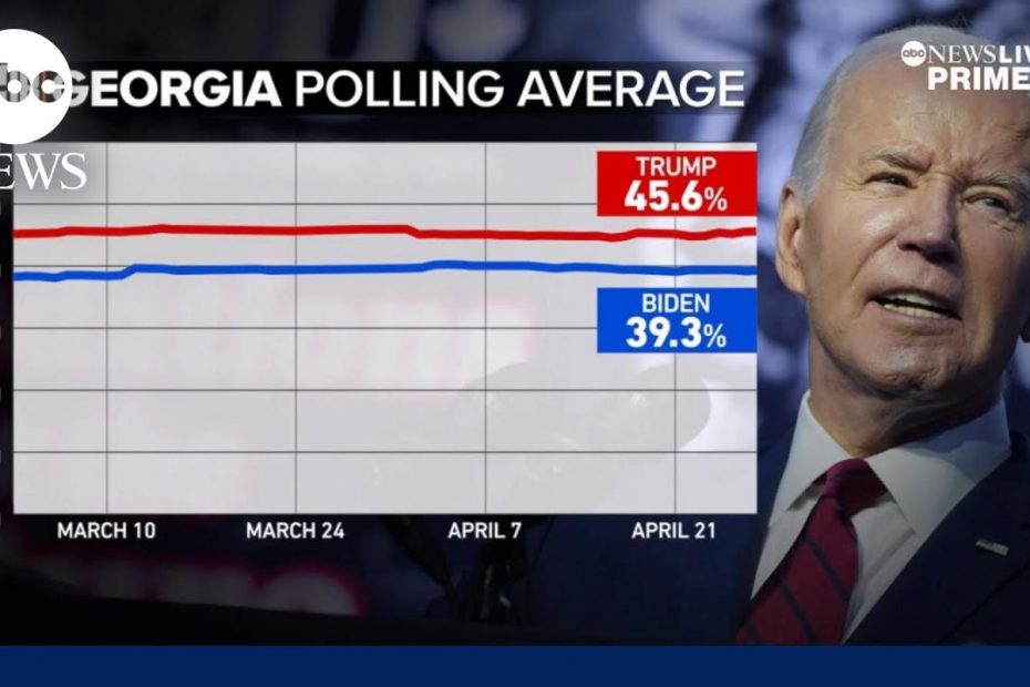 Georgia voters grapple with political divides as they prepare for Biden-Trump rematch