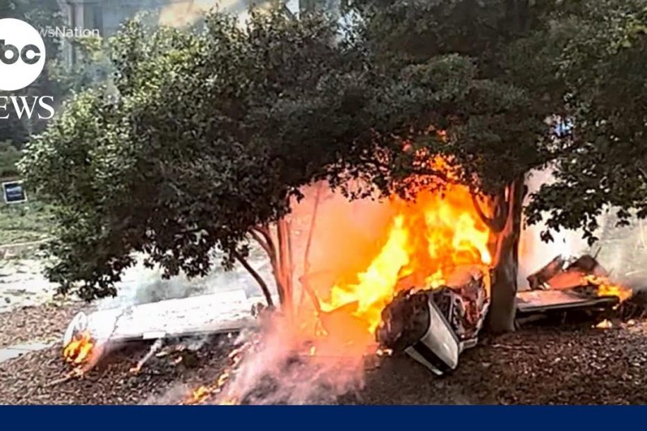 Pilot dies after plane crashes into neighborhood in Georgia