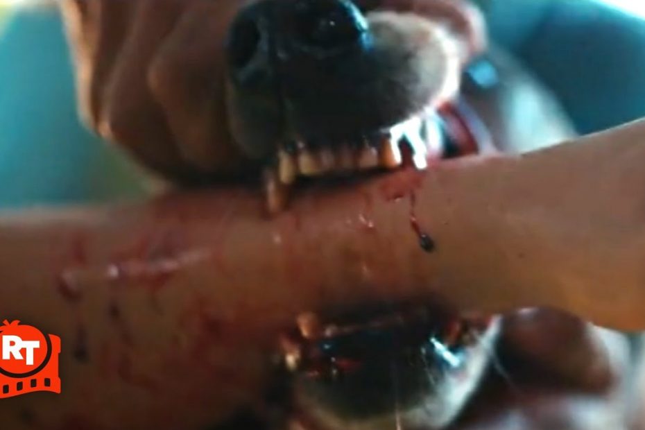 Pet Sematary: Bloodlines (2023) - Vicious Dog Attack Scene | Movieclips