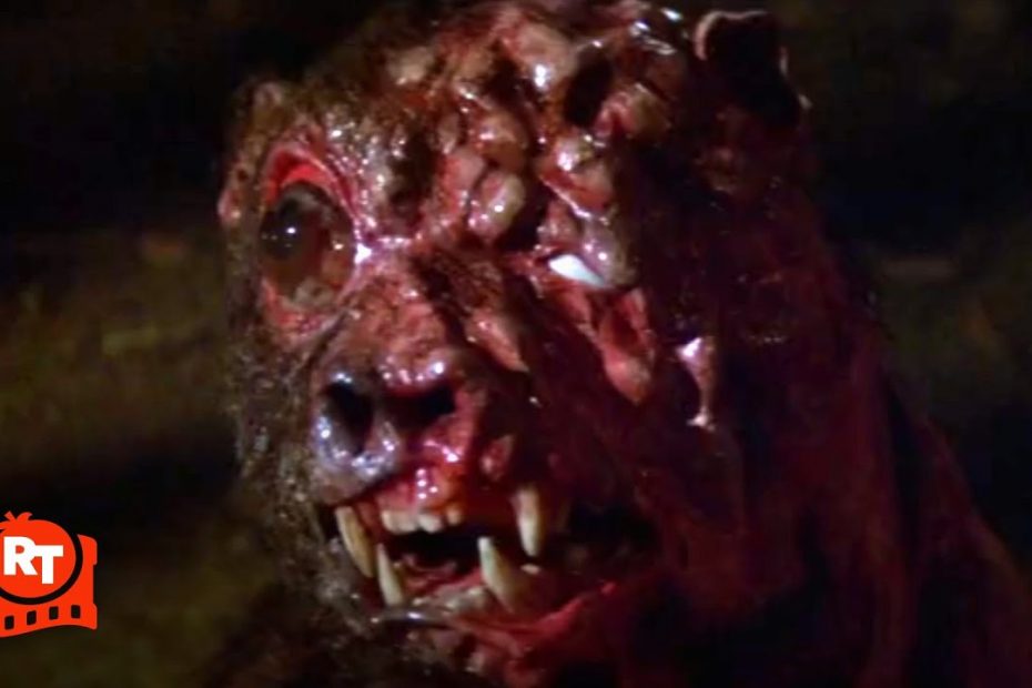 Prophecy (1979) - Run Away From The Mutant Bear! Scene | Movieclips