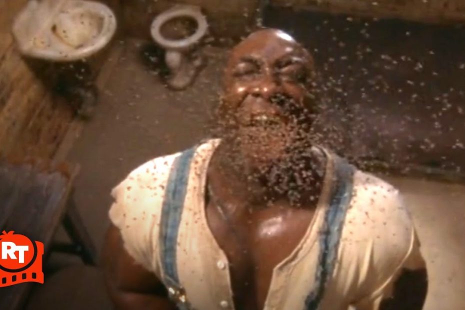 The Green Mile (1999) - John Coffey Heals Mr. Jingles Scene | Movieclips