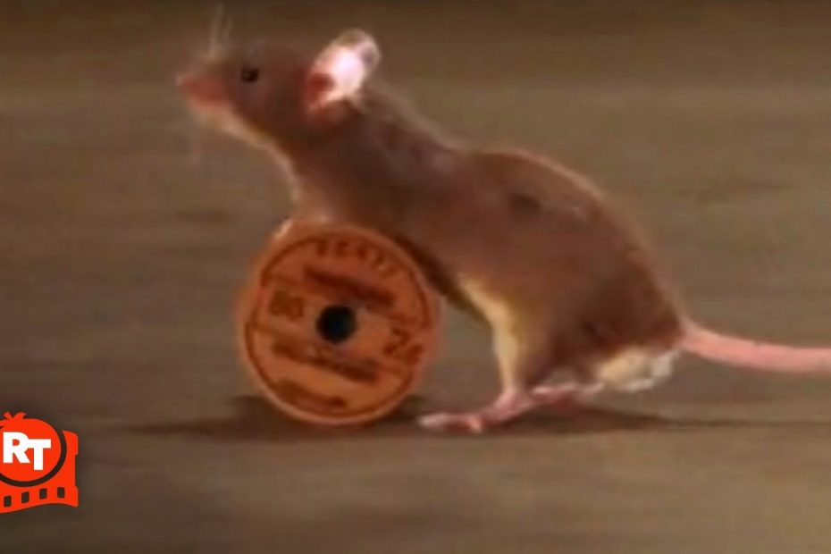 The Green Mile (1999) - Mr. Jingles, The Circus Mouse Scene | Movieclips