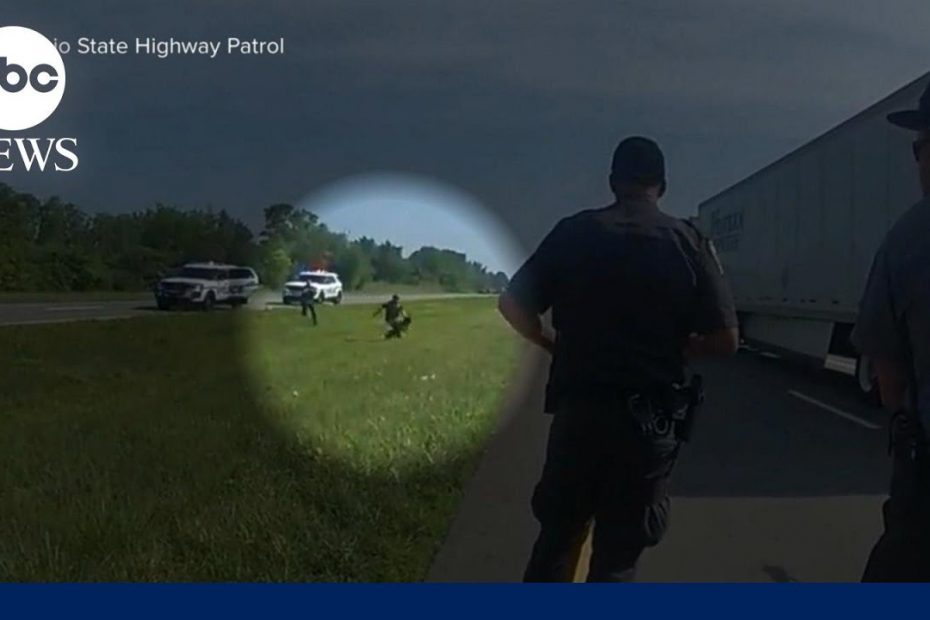 Police K-9 attacks unarmed man l WNT