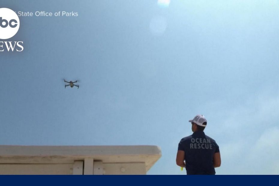 New York launches drones to search for sharks