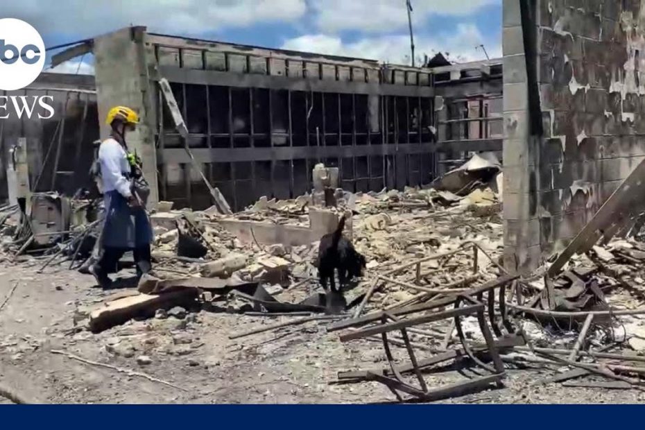 Maui wildfire death toll rises to 96, now deadliest wildfire disaster in modern U.S. history l GMA