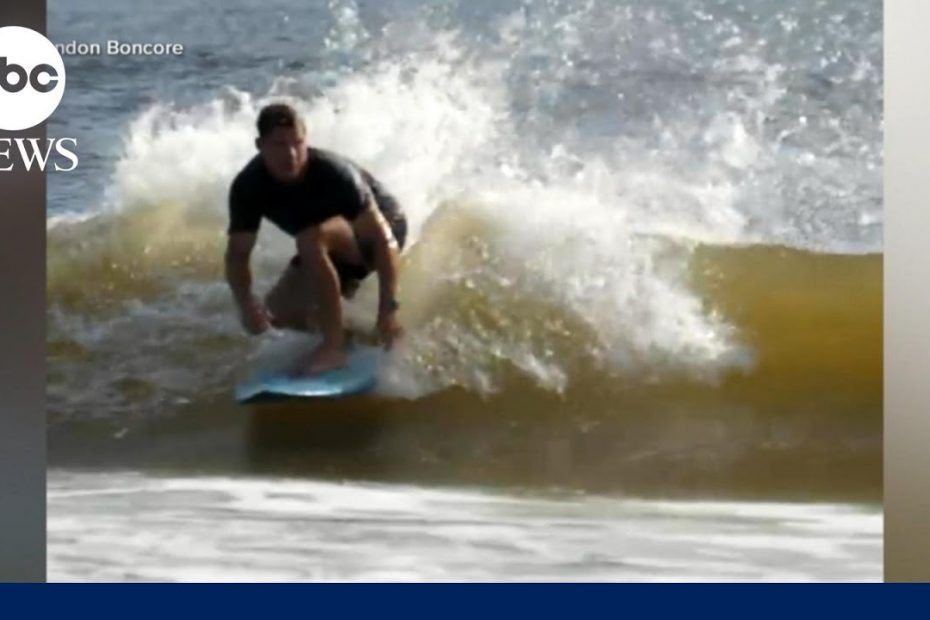 Florida surfer details shark encounter and recovery | GMA