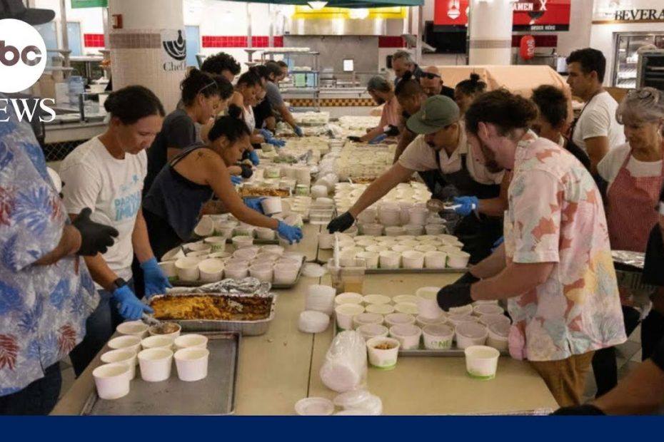 Community rallies around residents affected by Maui wildfires | WNT