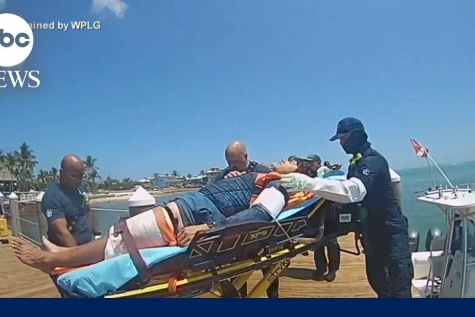 911 call released as shark attack survivor speaks out l GMA