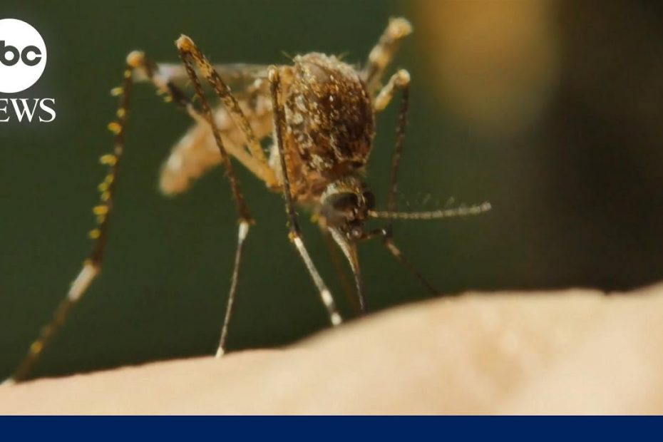 First US malaria cases diagnosed in decades in Florida and Texas