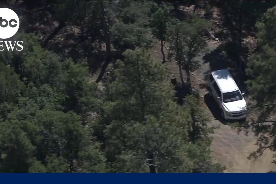 Man killed in 'highly unusual' bear attack in Arizona, authorities say