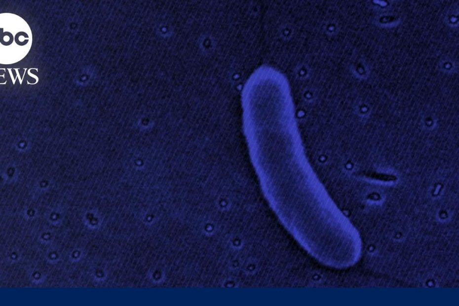 New flesh-eating bacteria concerns | WNT