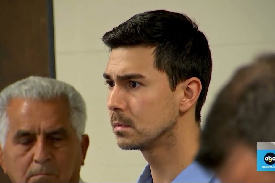 Matthew Nilo, New York lawyer accused of rape, out on bail l GMA