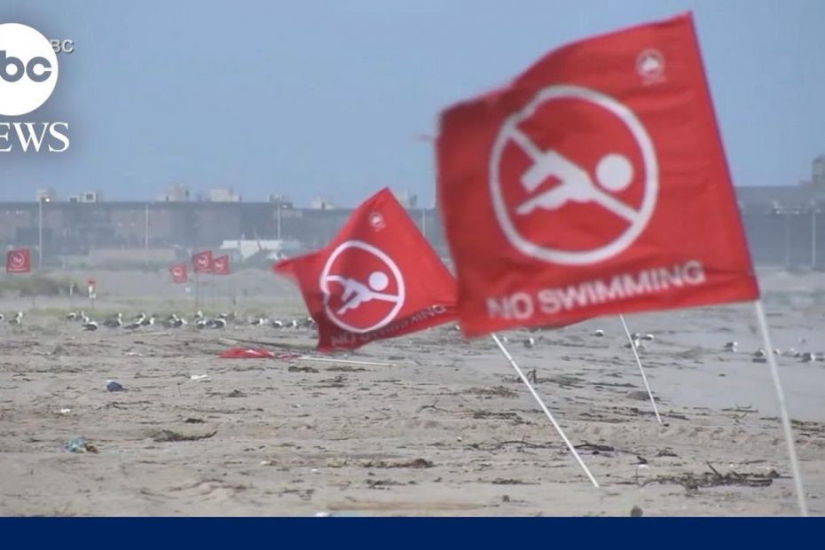 Woman in critical condition after shark attack near New York beach | GMA