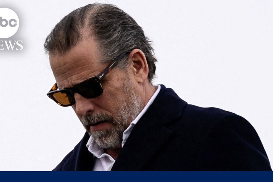 Examining the Hunter Biden plea deal and its potential impact on Pres. Joe Biden's campaign