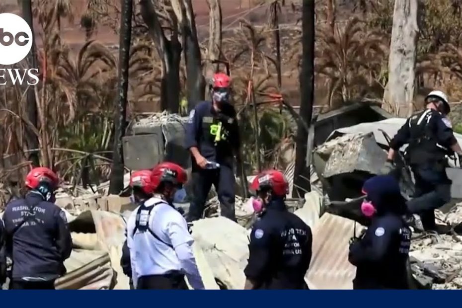 Urgent search for missing Maui residents as fires continue l GMA