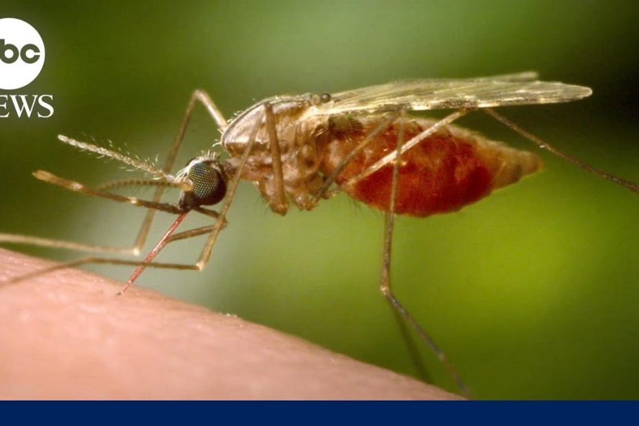 CDC issues warning about Malaria after cases reported in Texas, Florida | GMA
