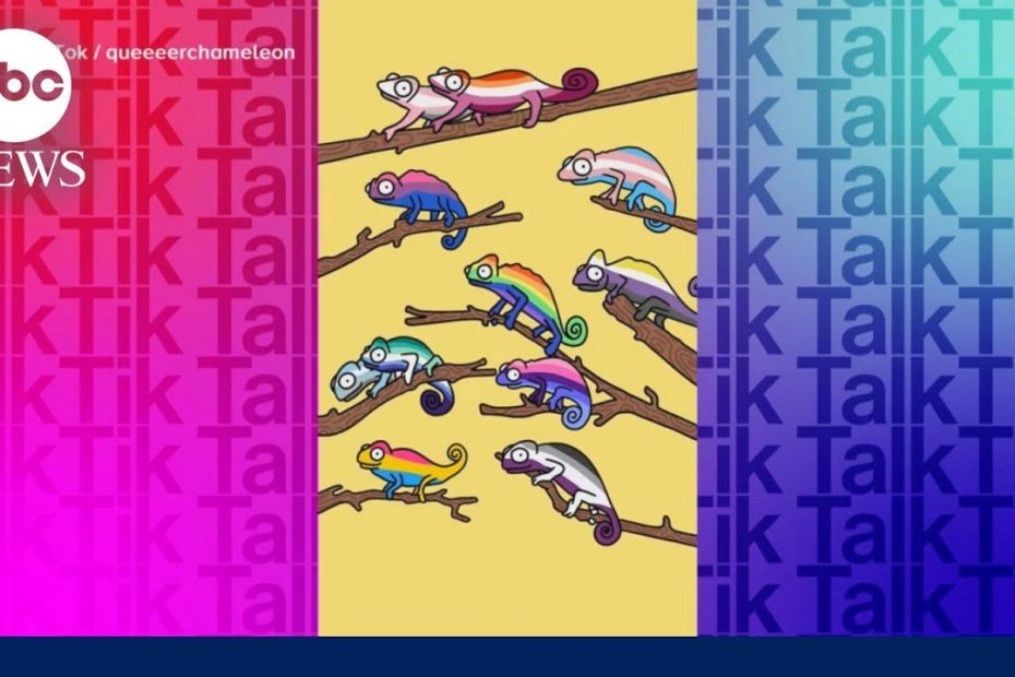 TikTalk: Showcasing LGBTQ pride with the ‘Queer Chameleon’ | Prime