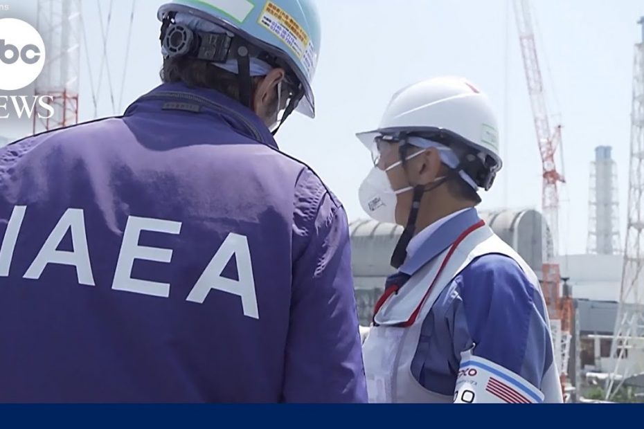 What is the impact of the Fukushima nuclear plant wastewater discharge? | ABC News