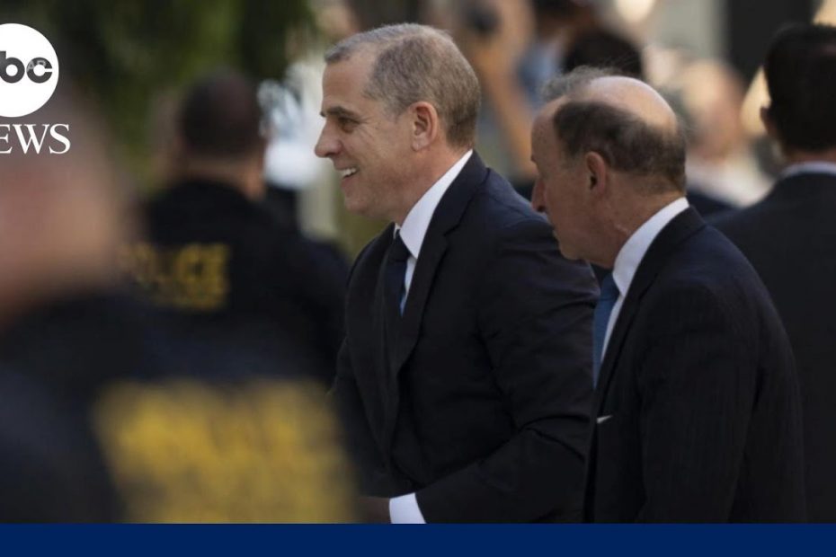 Hunter Biden pleads not guilty to gun charges in federal court | ABCNL
