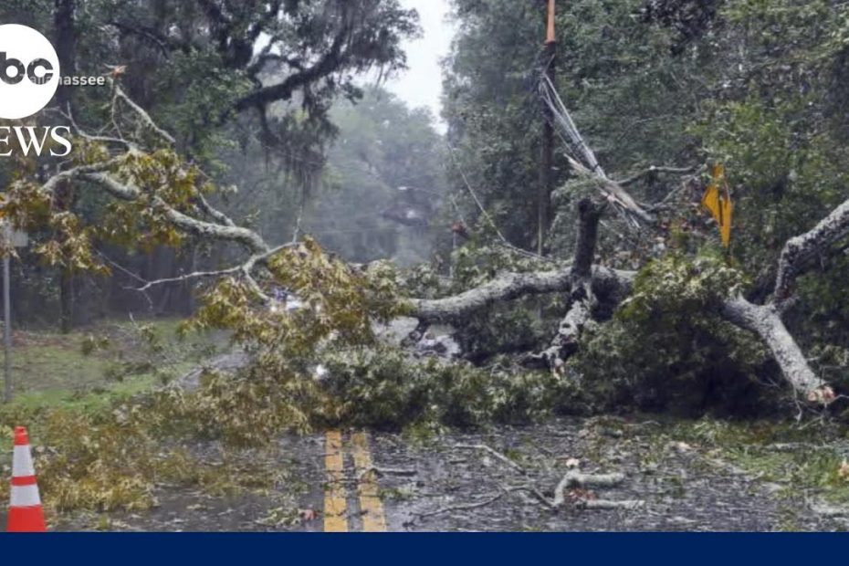 Tallahassee mayor on Idalia: Storm damage ‘could've been much worse’ | ABCNL