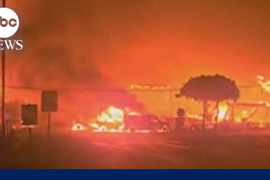 Deadly wildfires devastate communities in Hawaii | WNN