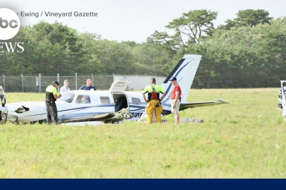 Passenger crash-lands plane after pilot suffers emergency | WNT