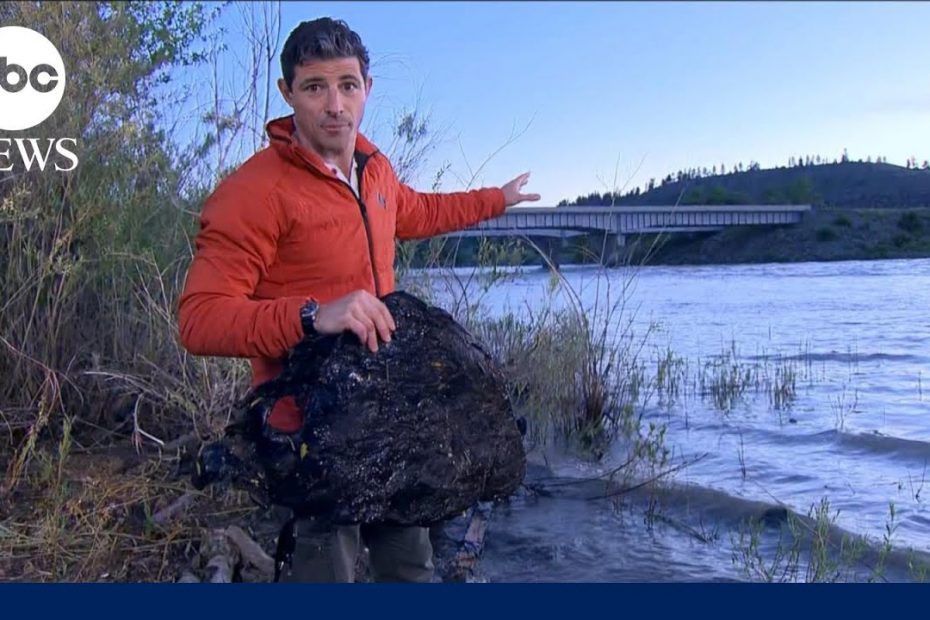 Asphalt washes up on banks of Yellowstone River after train derailment l GMA