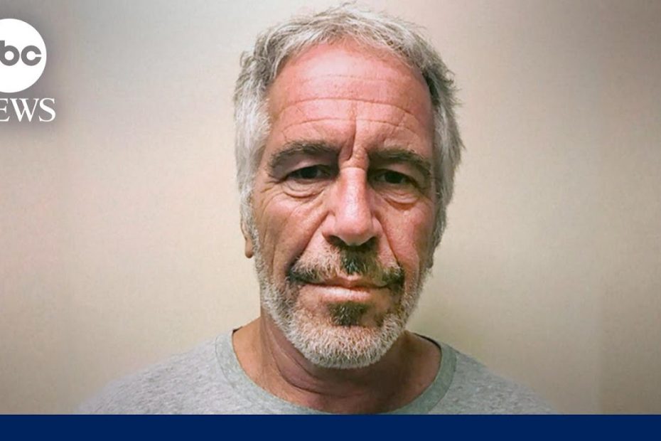 Documents reveal Jeffrey Epstein's final days in jail | WNT