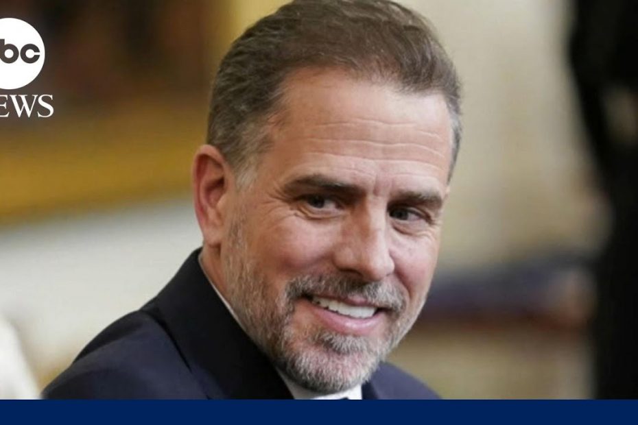 Hunter Biden at White House state dinner following plea deal