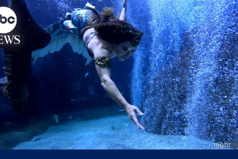 Mermaid enthusiasts dive into the '#mercore' trend