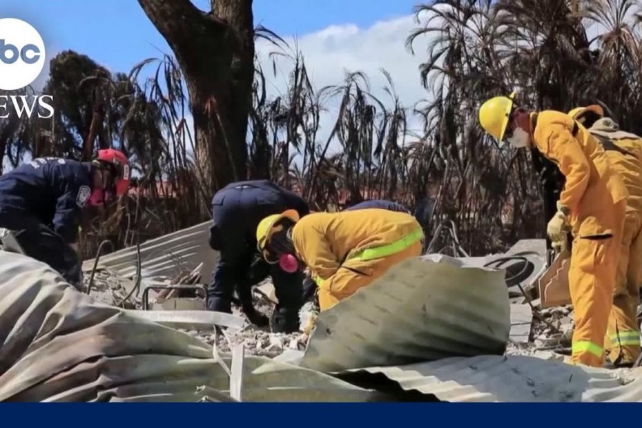 Maui Resident: 'The initial evacuation was just pure chaos'