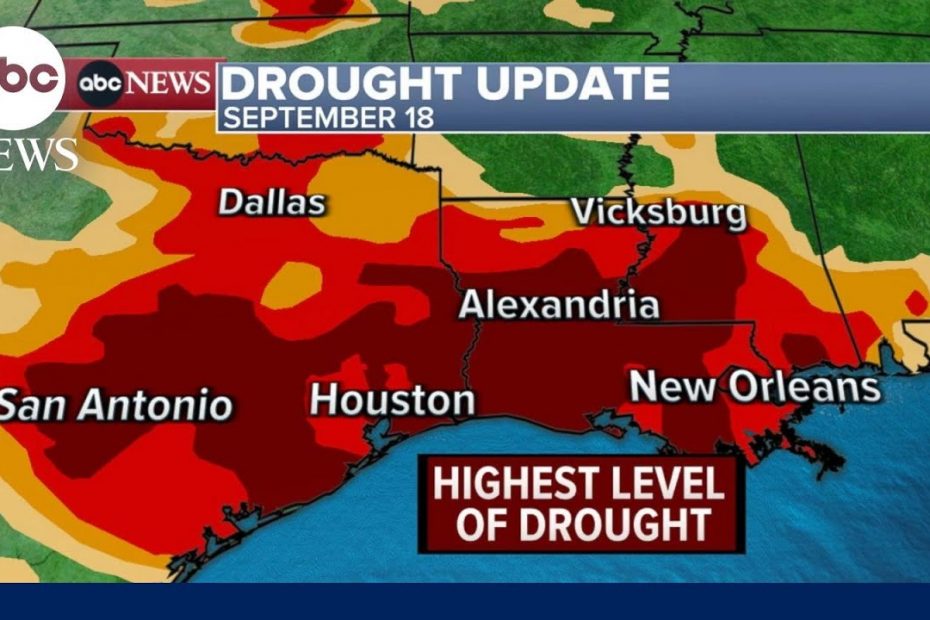 Louisiana governor requests federal emergency due to salt water in Mississippi River | ABCNL