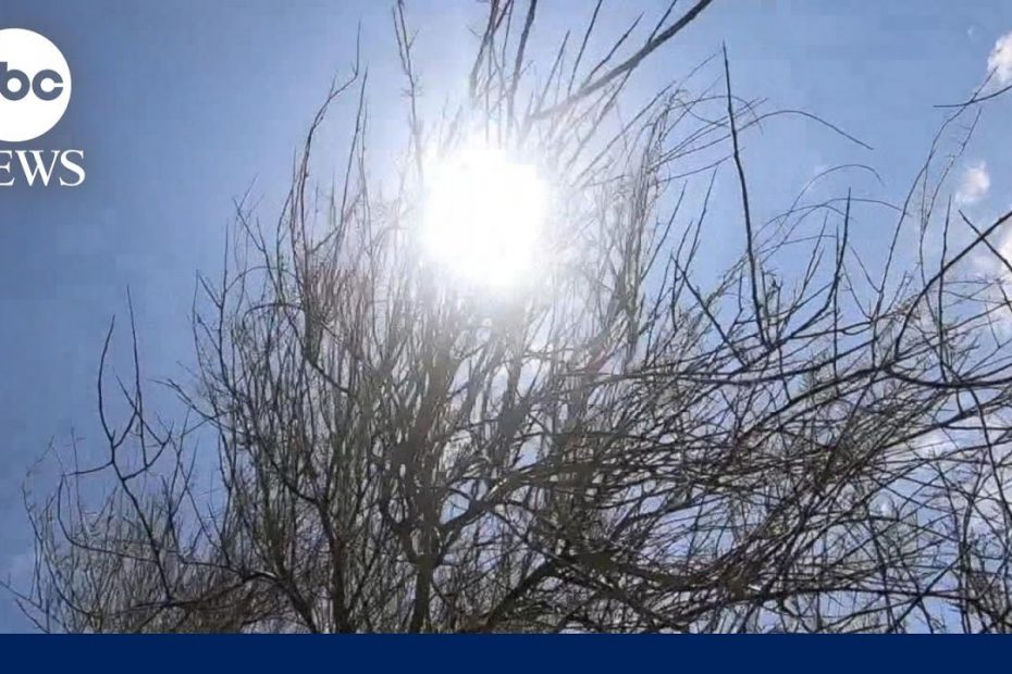 Phoenix set to break record for consecutive days of 110 degrees or higher