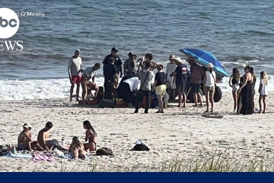 4 suspected shark attacks in 2 days along New York beaches l GMA