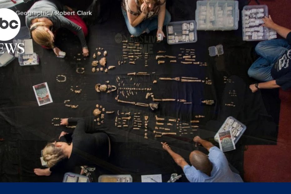 National Geographic explorer Lee Berger on the mysteries of the ‘Cave of Bones’