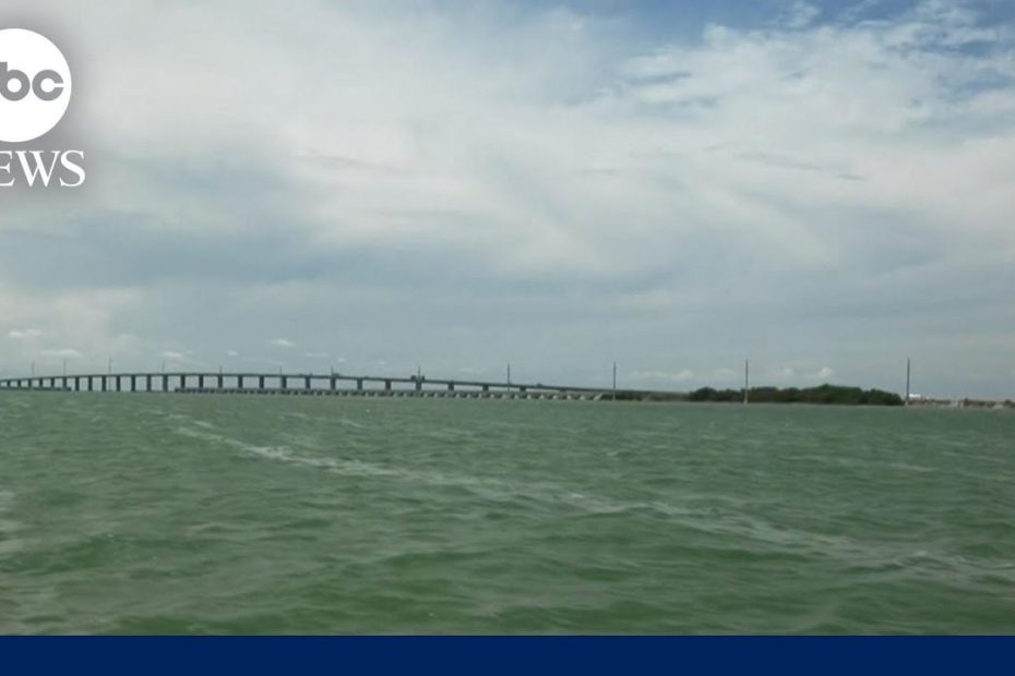 Florida ocean temperature hits triple digits