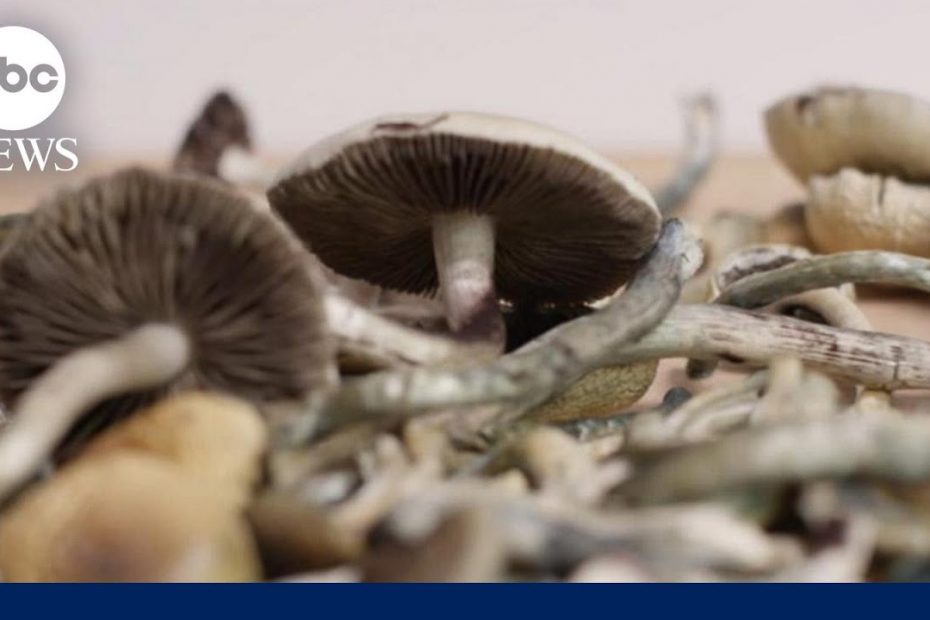 Oregon allows legal 'Magic Mushrooms' access to improve mental health