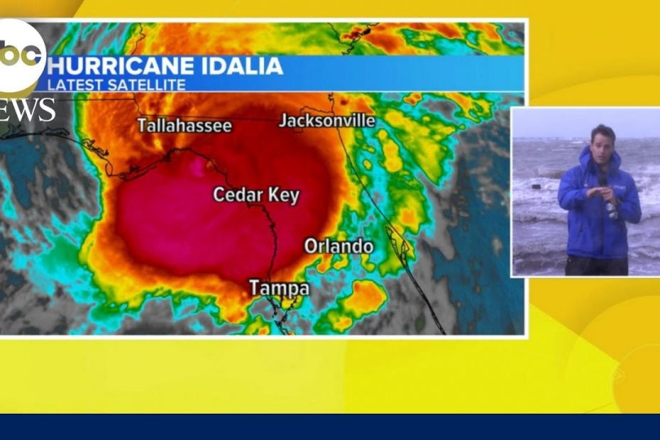 Idalia makes landfall in Florida l GMA