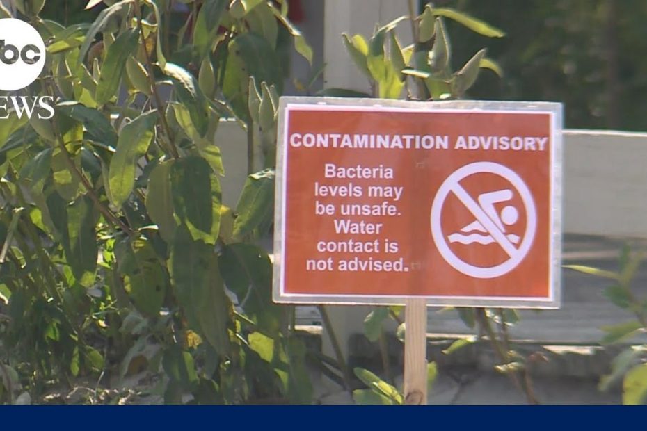Holiday beach advisory issued over of potential bacterial contamination in water | GMA