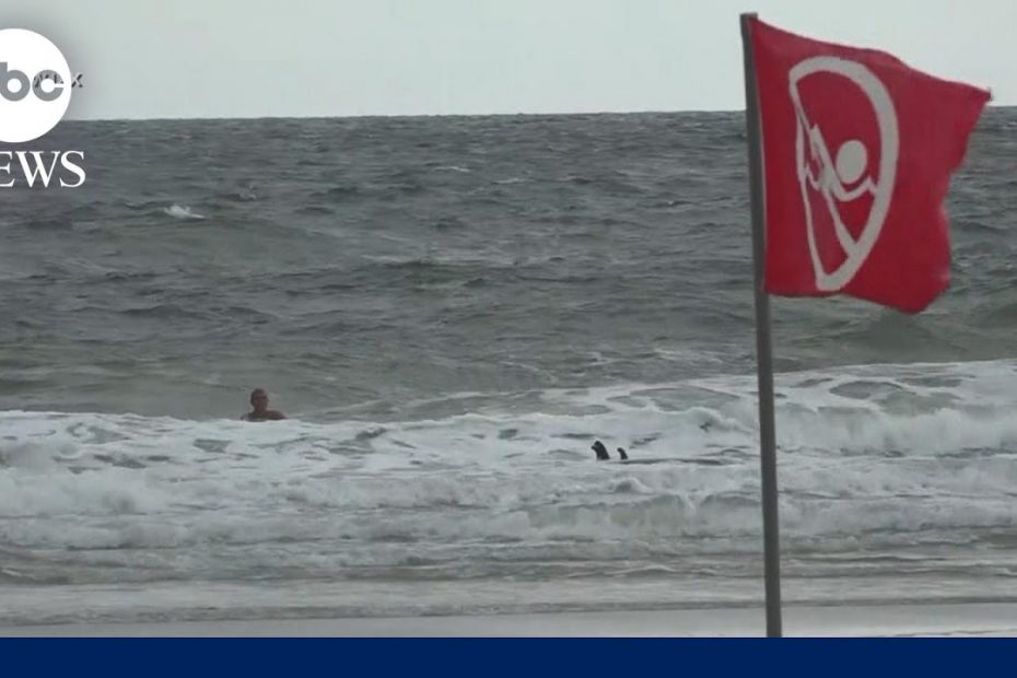 Tips on how to save yourself from a rip current