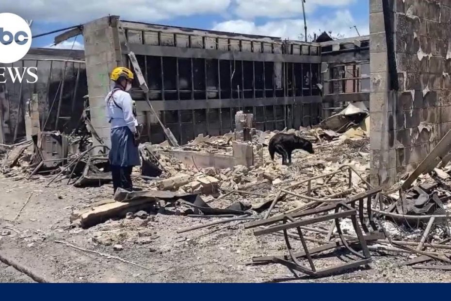 FEMA official: ‘We’re not picking and choosing in the response phase’ | Prime