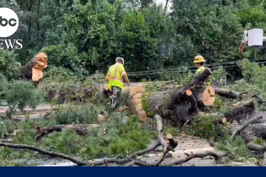Savannah mayor: ‘40,000 people are without power’ despite storm subsiding | ABCNL