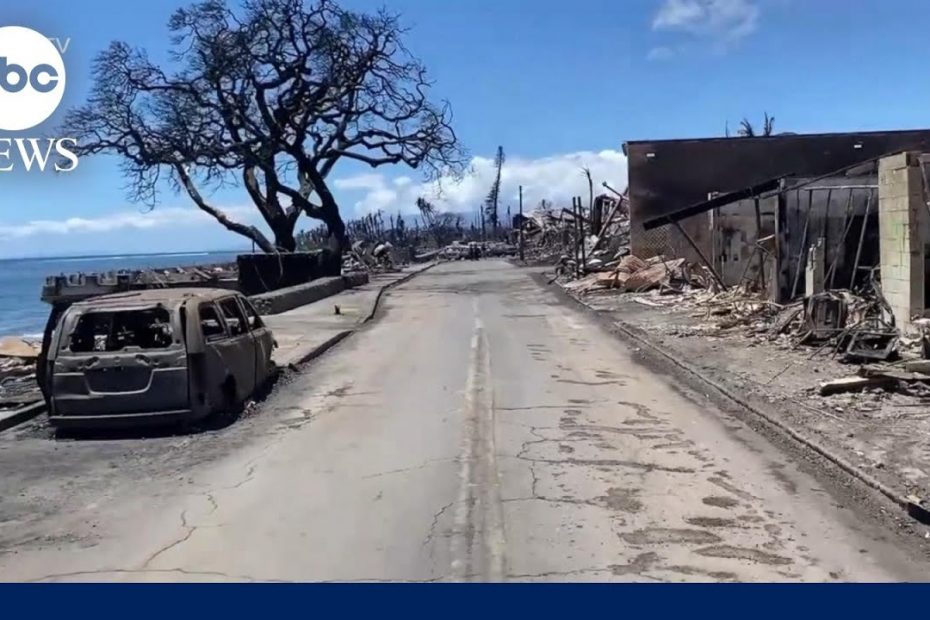Maui wildfires death toll expected to rise amid search efforts | WNT