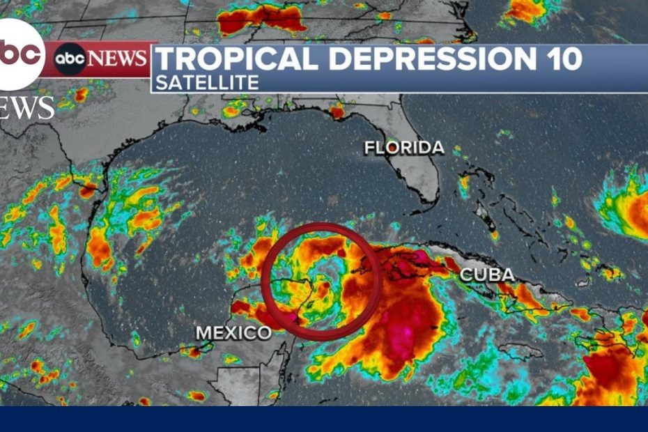 Florida's Gulf Coast under state of emergency | WNT
