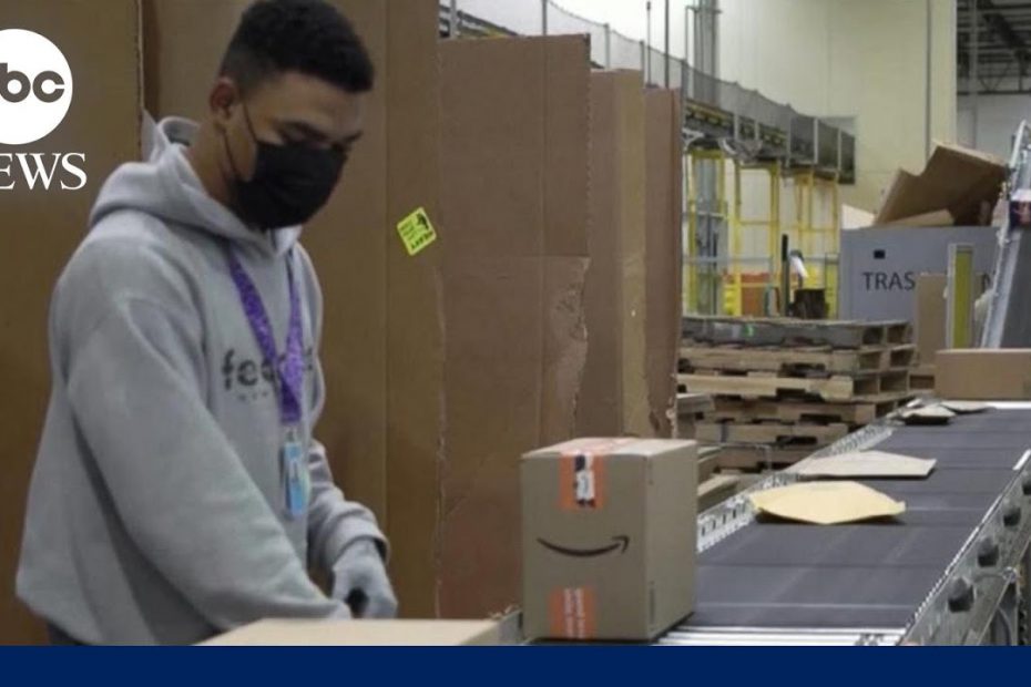 Monthly jobs report shows a slowdown in jobs growth | ABCNL