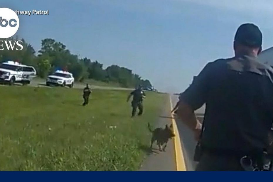 Ohio officers order police dog to attack unarmed man | GMA